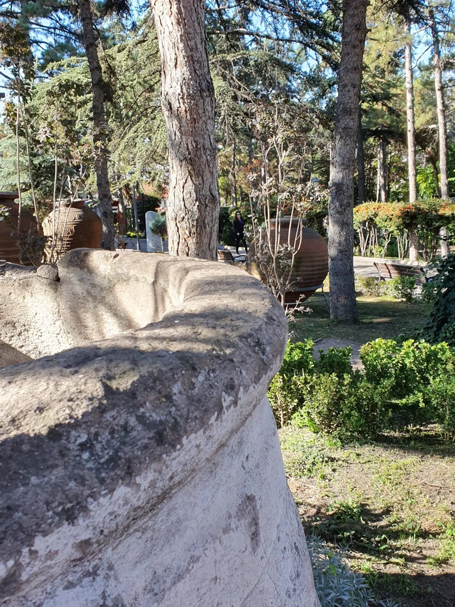 Süs havuzu genel görünüm